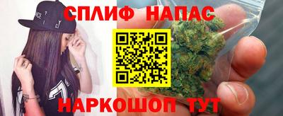 шишки Тула