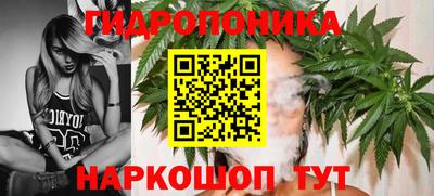 шишки Тула